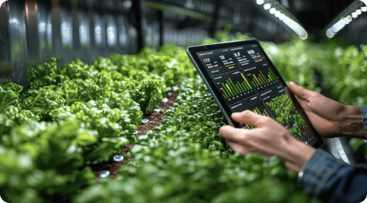 Системы автоматизации и мониторинга